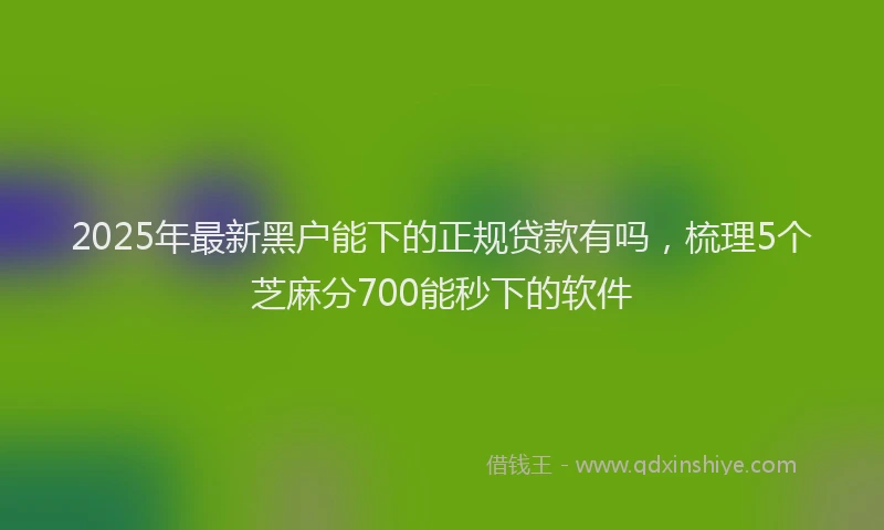 2025年最新黑户能下的正规贷款有吗，梳理5个芝麻分700能秒下的软件