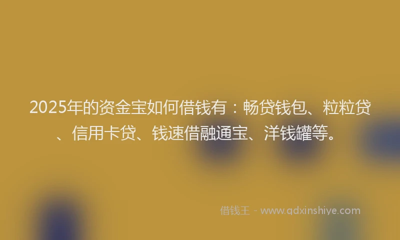 2025年的资金宝如何借钱有：畅贷钱包、粒粒贷、信用卡贷、钱速借融通宝、洋钱罐等。