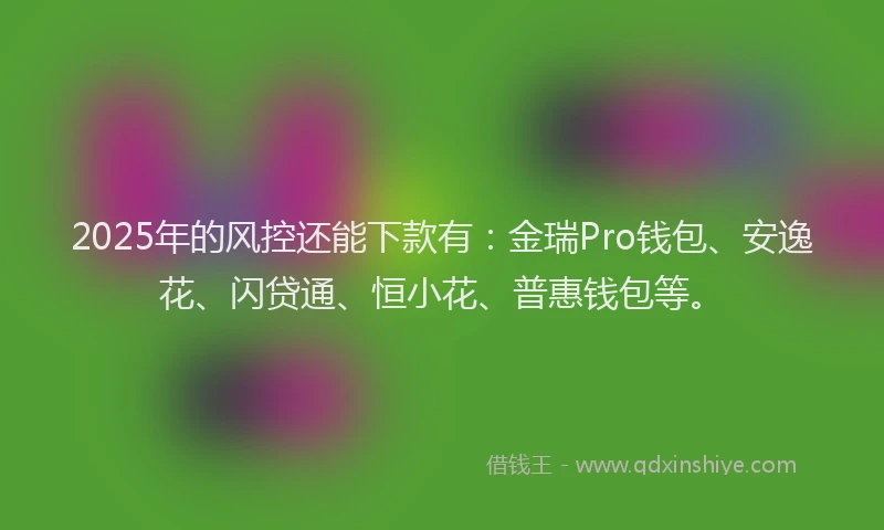2025年的风控还能下款有：金瑞Pro钱包、安逸花、闪贷通、恒小花、普惠钱包等。