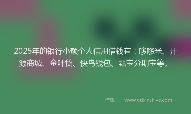 2025年的银行小额个人信用借钱有：哆哆米、开源商城、金叶贷、快鸟钱包、甄宝分期宝等。