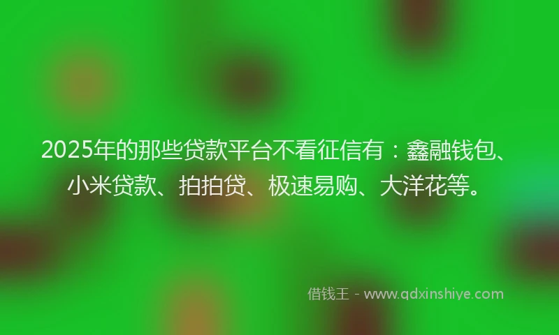 2025年的那些贷款平台不看征信有：鑫融钱包、小米贷款、拍拍贷、极速易购、大洋花等。