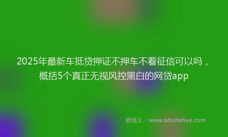 2025年最新车抵贷押证不押车不看征信可以吗，概括5个真正无视风控黑白的网贷app