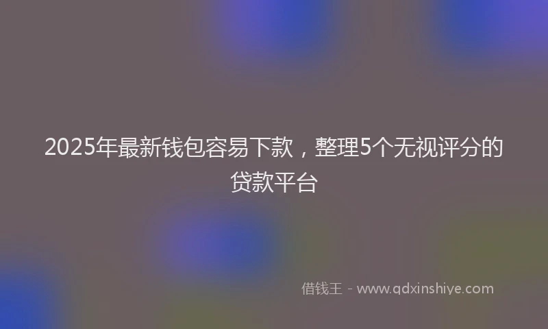 2025年最新钱包容易下款，整理5个无视评分的贷款平台