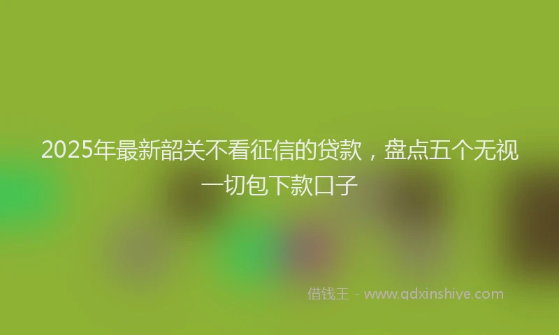 2025年最新韶关不看征信的贷款，盘点五个无视一切包下款口子