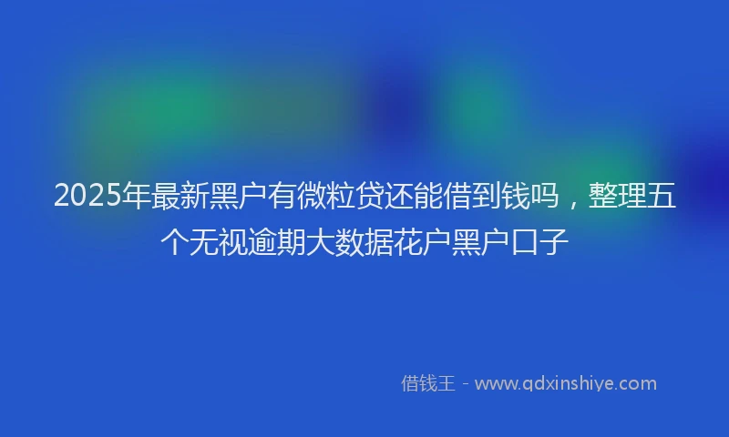 2025年最新黑户有微粒贷还能借到钱吗，整理五个无视逾期大数据花户黑户口子