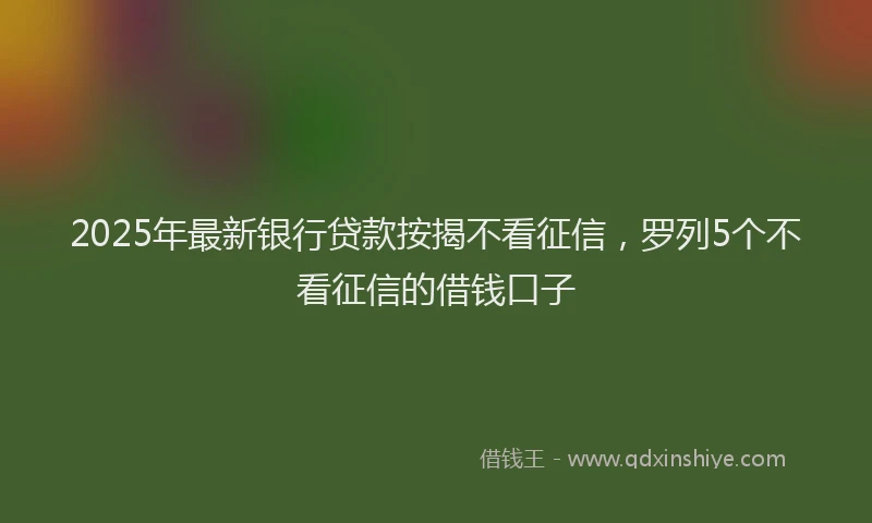 2025年最新银行贷款按揭不看征信，罗列5个不看征信的借钱口子