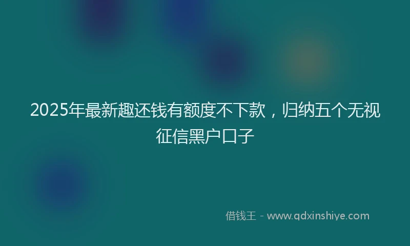 2025年最新趣还钱有额度不下款，归纳五个无视征信黑户口子