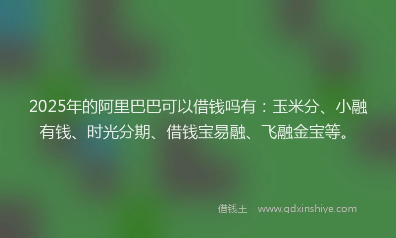 2025年的阿里巴巴可以借钱吗有：玉米分、小融有钱、时光分期、借钱宝易融、飞融金宝等。