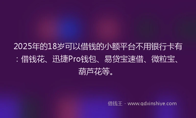 2025年的18岁可以借钱的小额平台不用银行卡有：借钱花、迅捷Pro钱包、易贷宝速借、微粒宝、葫芦花等。