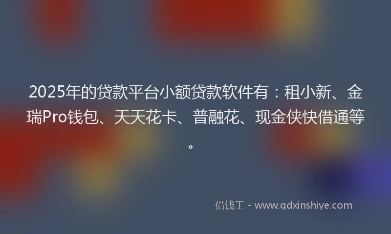 2025年的贷款平台小额贷款软件有：租小新、金瑞Pro钱包、天天花卡、普融花、现金侠快借通等。
