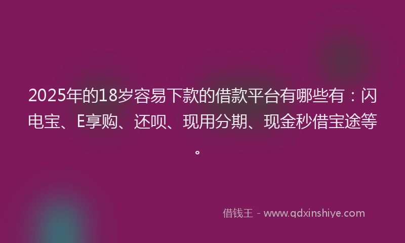 2025年的18岁容易下款的借款平台有哪些有：闪电宝、E享购、还呗、现用分期、现金秒借宝途等。