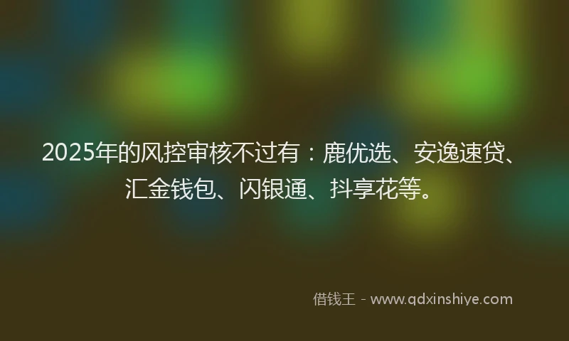 2025年的风控审核不过有：鹿优选、安逸速贷、汇金钱包、闪银通、抖享花等。