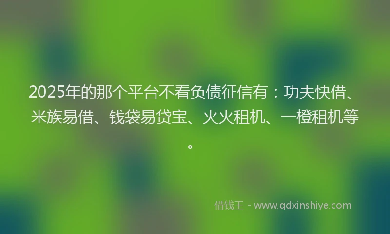 2025年的那个平台不看负债征信有：功夫快借、米族易借、钱袋易贷宝、火火租机、一橙租机等。