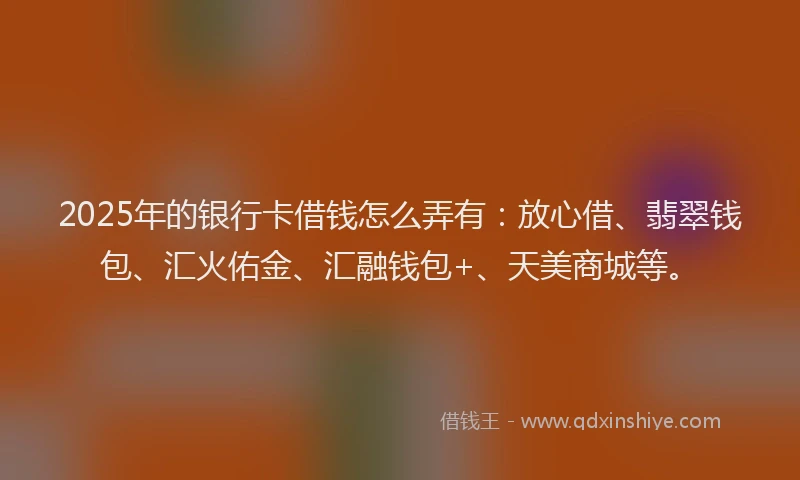 2025年的银行卡借钱怎么弄有：放心借、翡翠钱包、汇火佑金、汇融钱包+、天美商城等。