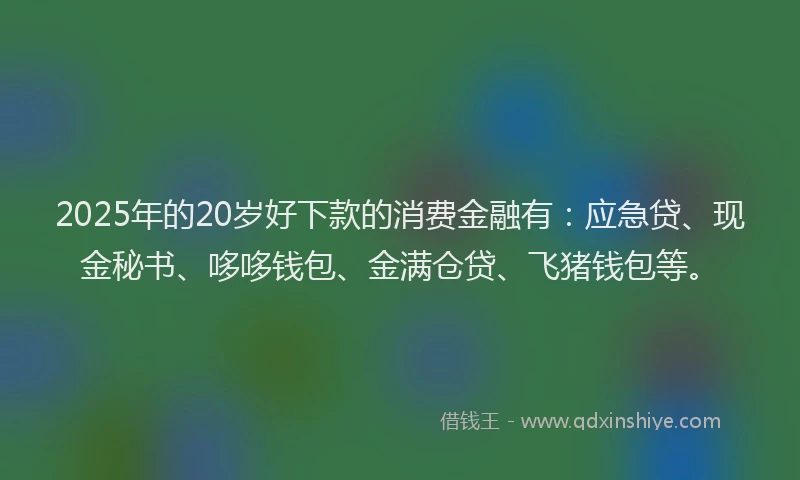 2025年的20岁好下款的消费金融有：应急贷、现金秘书、哆哆钱包、金满仓贷、飞猪钱包等。