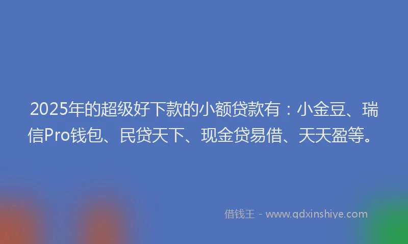 2025年的超级好下款的小额贷款有：小金豆、瑞信Pro钱包、民贷天下、现金贷易借、天天盈等。