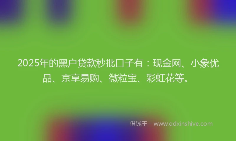 2025年的黑户贷款秒批口子有：现金网、小象优品、京享易购、微粒宝、彩虹花等。
