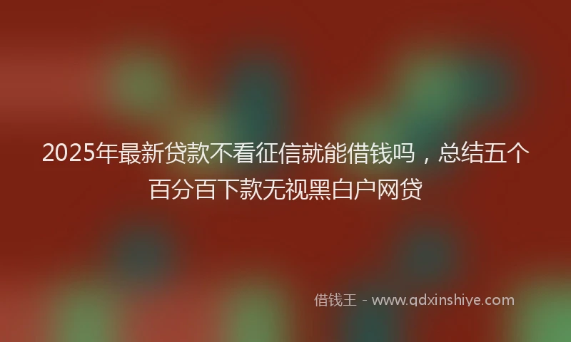 2025年最新贷款不看征信就能借钱吗，总结五个百分百下款无视黑白户网贷