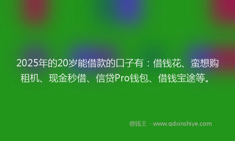 2025年的20岁能借款的口子有：借钱花、蛮想购租机、现金秒借、信贷Pro钱包、借钱宝途等。