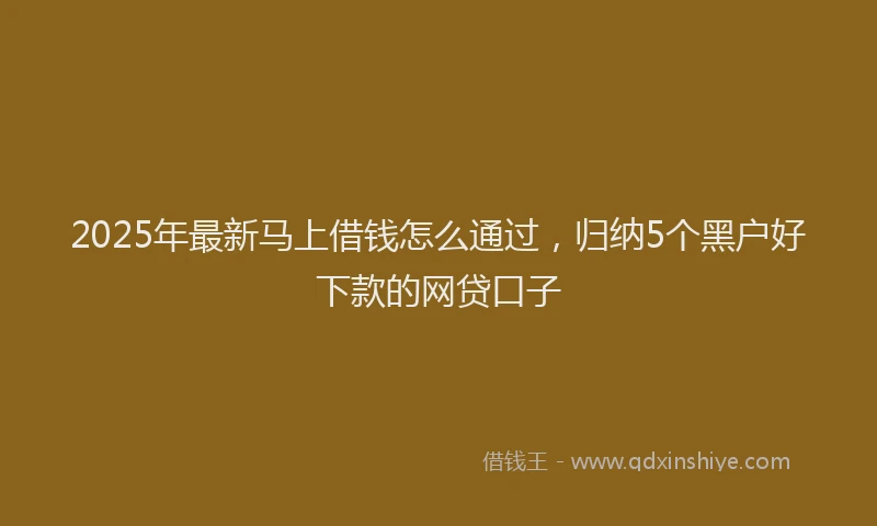 2025年最新马上借钱怎么通过，归纳5个黑户好下款的网贷口子