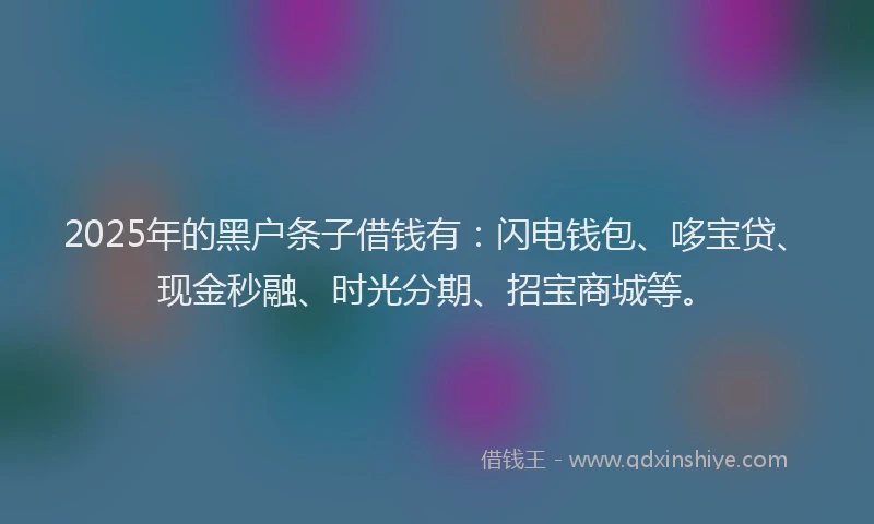 2025年的黑户条子借钱有：闪电钱包、哆宝贷、现金秒融、时光分期、招宝商城等。
