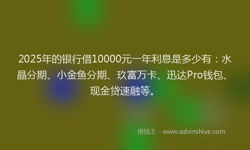 2025年的银行借10000元一年利息是多少有：水晶分期、小金鱼分期、玖富万卡、迅达Pro钱包、现金贷速融等。