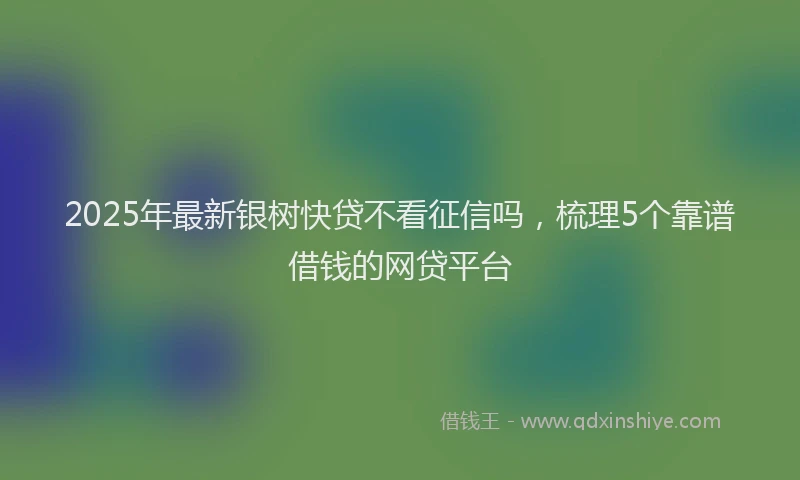2025年最新银树快贷不看征信吗，梳理5个靠谱借钱的网贷平台