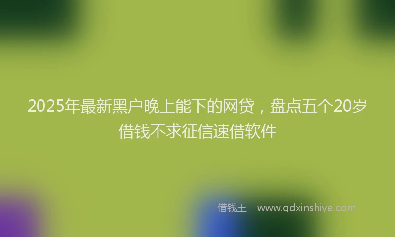 2025年最新黑户晚上能下的网贷，盘点五个20岁借钱不求征信速借软件
