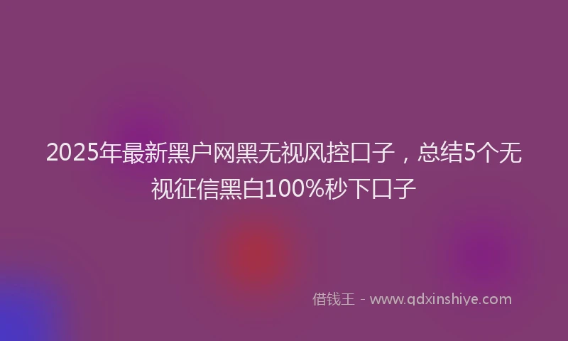 2025年最新黑户网黑无视风控口子，总结5个无视征信黑白100%秒下口子