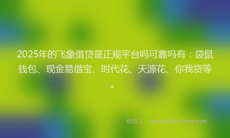 2025年的飞象借贷是正规平台吗可靠吗有：袋鼠钱包、现金易借宝、时代花、天源花、你我贷等。