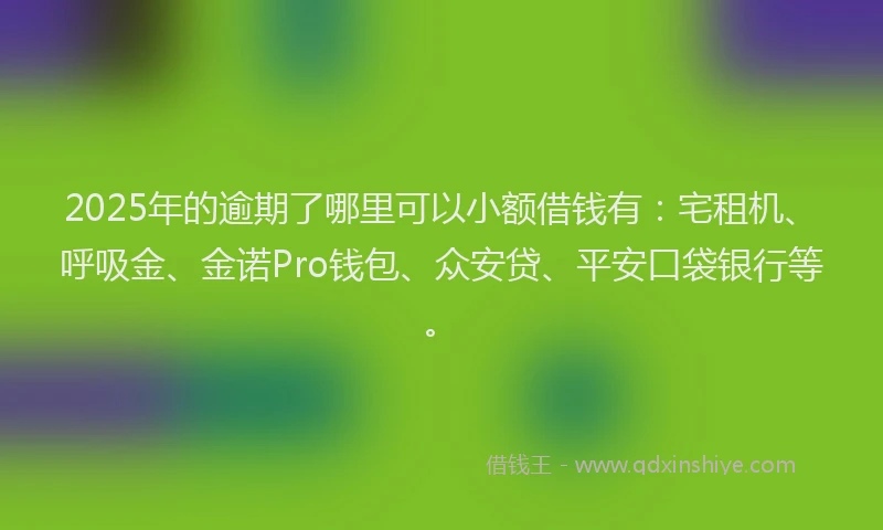 2025年的逾期了哪里可以小额借钱有：宅租机、呼吸金、金诺Pro钱包、众安贷、平安口袋银行等。