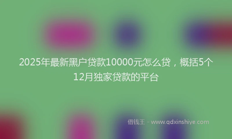 2025年最新黑户贷款10000元怎么贷，概括5个12月独家贷款的平台