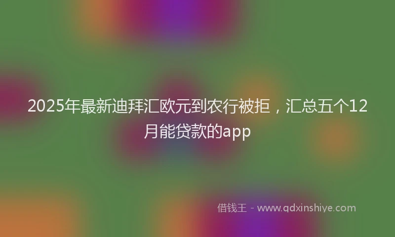 2025年最新迪拜汇欧元到农行被拒，汇总五个12月能贷款的app