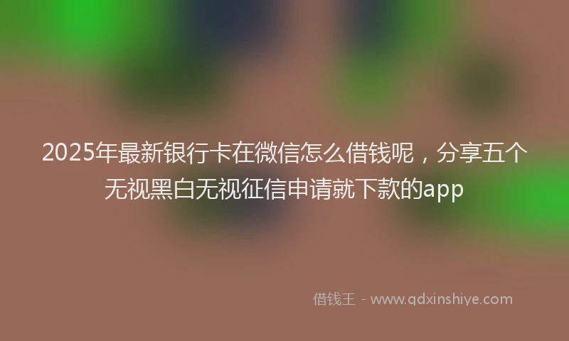 2025年最新银行卡在微信怎么借钱呢，分享五个无视黑白无视征信申请就下款的app