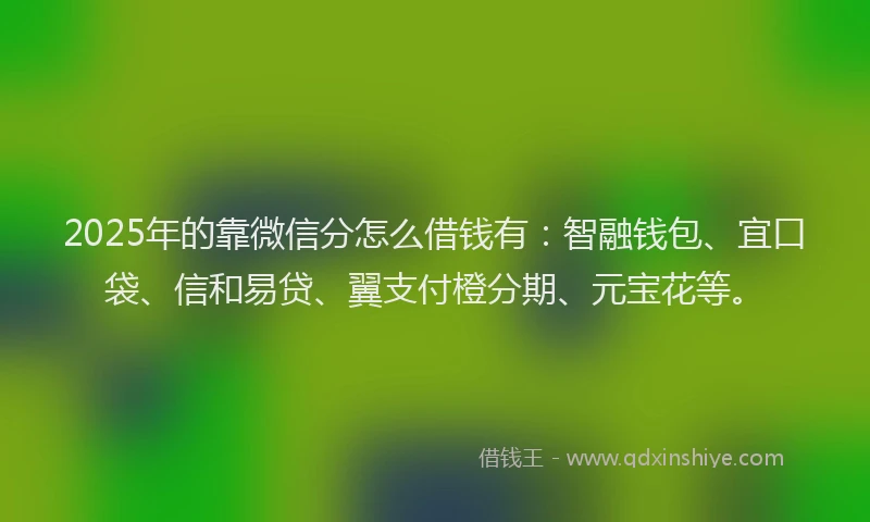 2025年的靠微信分怎么借钱有：智融钱包、宜口袋、信和易贷、翼支付橙分期、元宝花等。