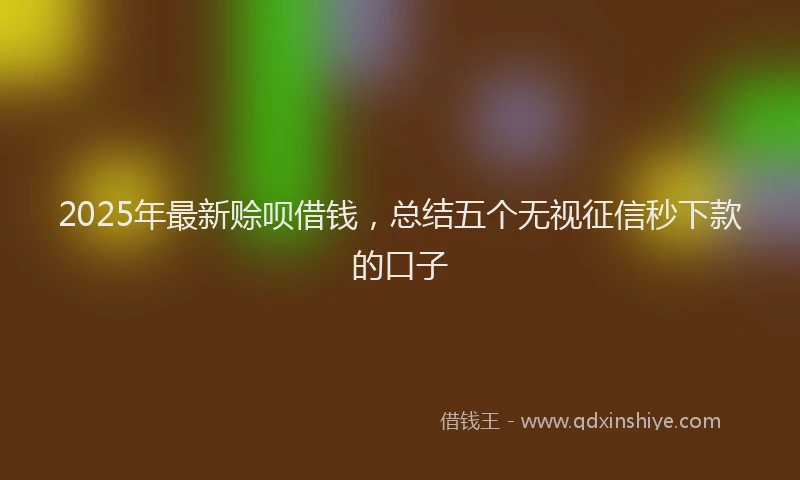 2025年最新赊呗借钱，总结五个无视征信秒下款的口子
