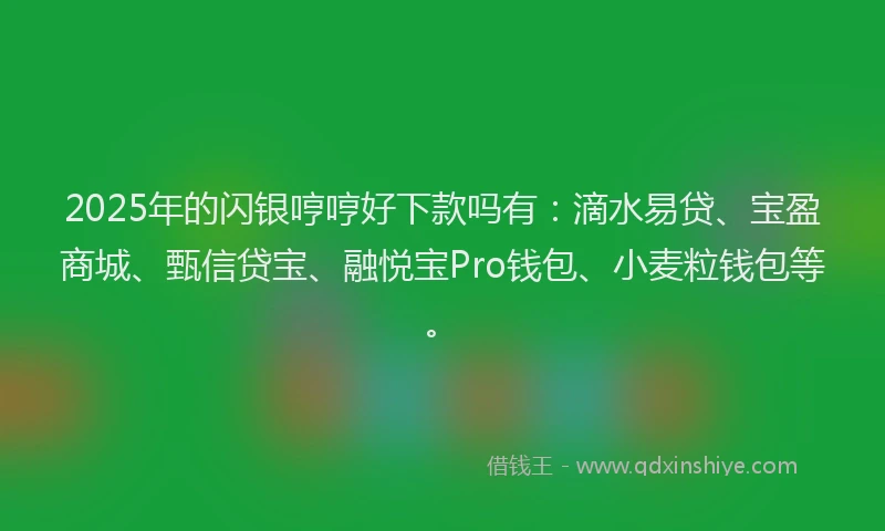 2025年的闪银哼哼好下款吗有：滴水易贷、宝盈商城、甄信贷宝、融悦宝Pro钱包、小麦粒钱包等。
