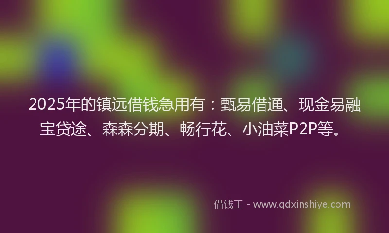 2025年的镇远借钱急用有：甄易借通、现金易融宝贷途、森森分期、畅行花、小油菜P2P等。