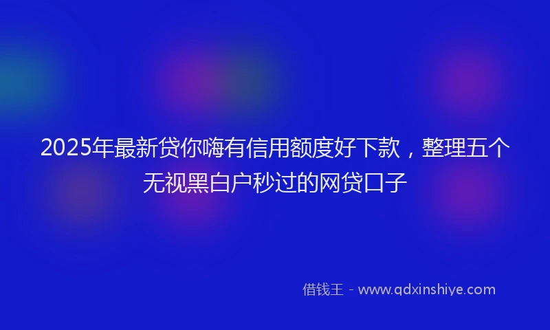 2025年最新贷你嗨有信用额度好下款，整理五个无视黑白户秒过的网贷口子