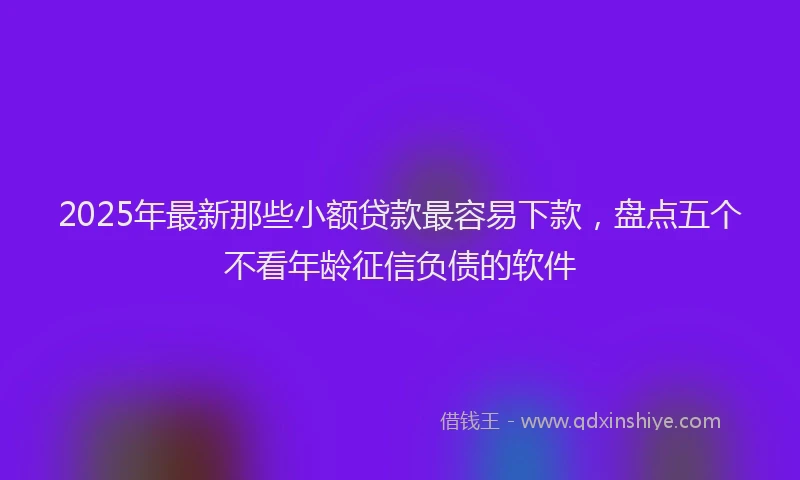 2025年最新那些小额贷款最容易下款，盘点五个不看年龄征信负债的软件