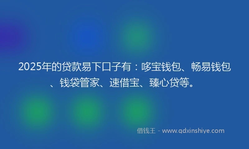 2025年的贷款易下口子有：哆宝钱包、畅易钱包、钱袋管家、速借宝、臻心贷等。
