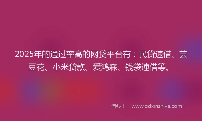 2025年的通过率高的网贷平台有：民贷速借、芸豆花、小米贷款、爱鸿森、钱袋速借等。