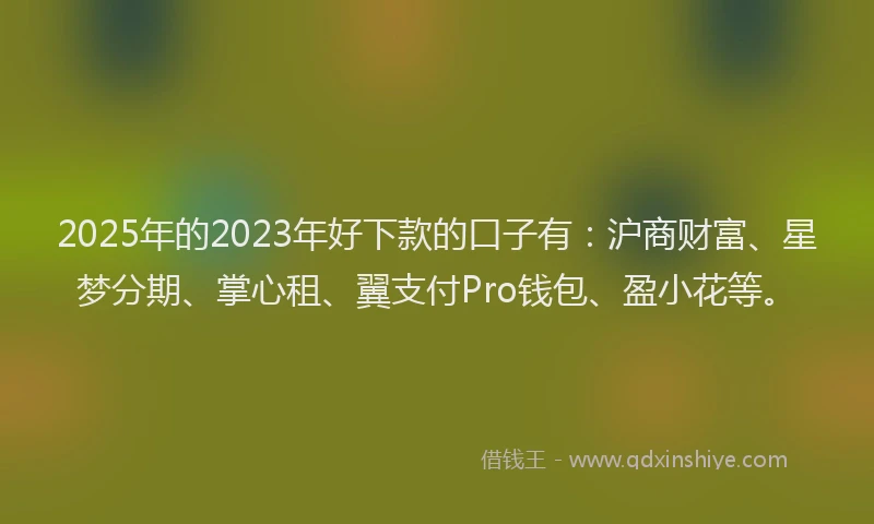 2025年的2023年好下款的口子有：沪商财富、星梦分期、掌心租、翼支付Pro钱包、盈小花等。