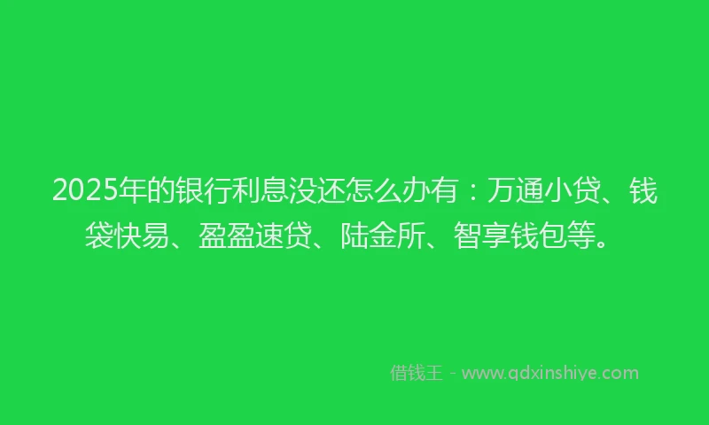 2025年的银行利息没还怎么办有：万通小贷、钱袋快易、盈盈速贷、陆金所、智享钱包等。