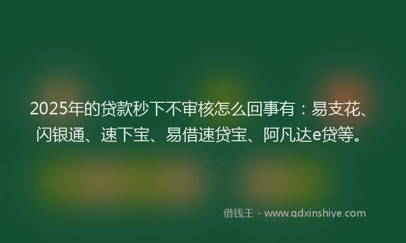 2025年的贷款秒下不审核怎么回事有：易支花、闪银通、速下宝、易借速贷宝、阿凡达e贷等。