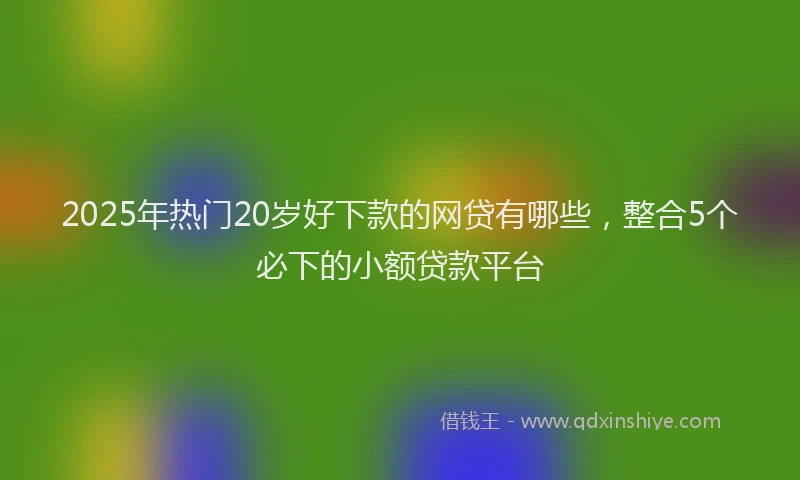 2025年热门20岁好下款的网贷有哪些，整合5个必下的小额贷款平台