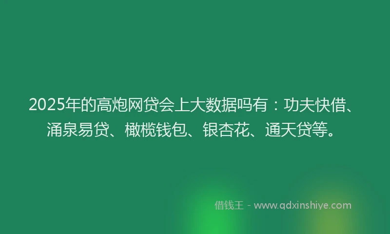 2025年的高炮网贷会上大数据吗有：功夫快借、涌泉易贷、橄榄钱包、银杏花、通天贷等。
