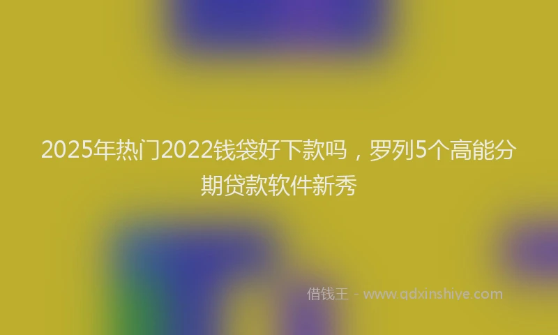 2025年热门2022钱袋好下款吗，罗列5个高能分期贷款软件新秀