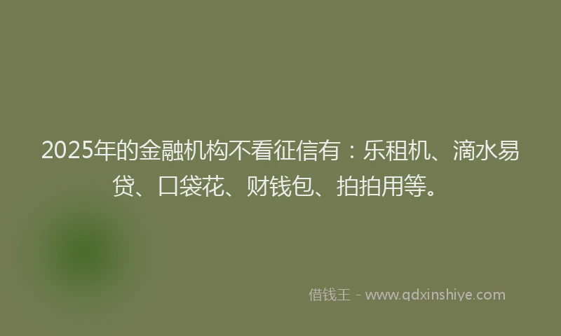 2025年的金融机构不看征信有：乐租机、滴水易贷、口袋花、财钱包、拍拍用等。