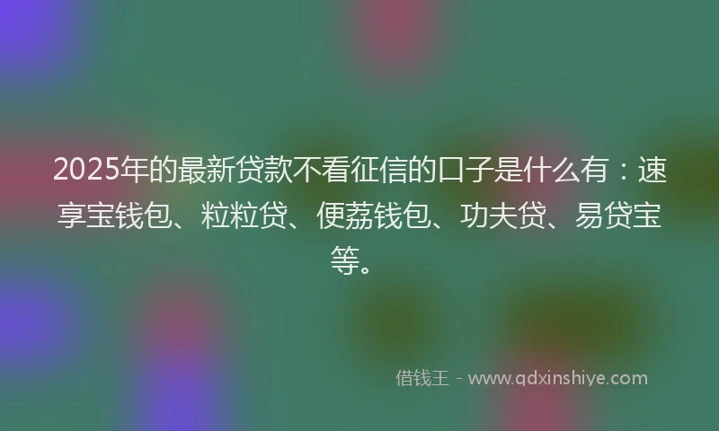 2025年的最新贷款不看征信的口子是什么有：速享宝钱包、粒粒贷、便荔钱包、功夫贷、易贷宝等。